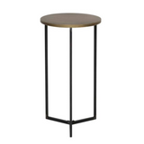 Mesa Lateral Tortuga