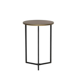 Mesa Lateral Tortuga