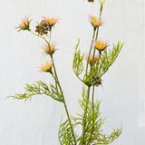 Flores Clematis Pink 61 cm