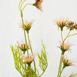 Flores Clematis Pink 61 cm