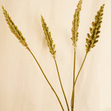 Flores Grass Plume GRN DK 82CM