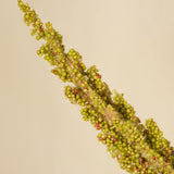 Flores Grass Plume GRN DK 82CM