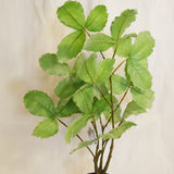 Flores Leaf Green 70 cm