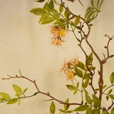 Flores Clematis Pink 109 cm