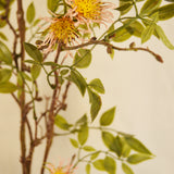 Flores Clematis Pink 109 cm