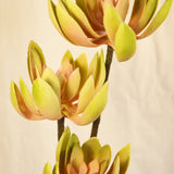 Flores Succulent PNK/GRN 84CM