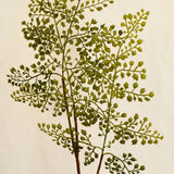 Flores Greenspray Green 85 cm