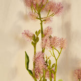 Flores Thistle Pink 102 cm