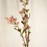 Flores Thistle Pink 102 cm