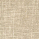 Respaldo Marco y Tachas